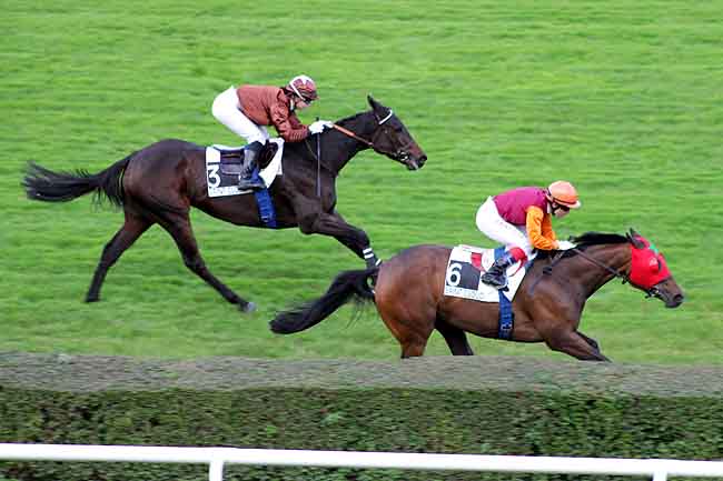 Arrivée quinté pmu PRIX DE THOIRY à SAINT-CLOUD