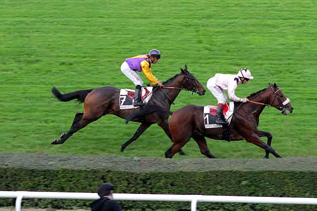 Arrivée quinté pmu PRIX DU CHAROLAIS à SAINT-CLOUD
