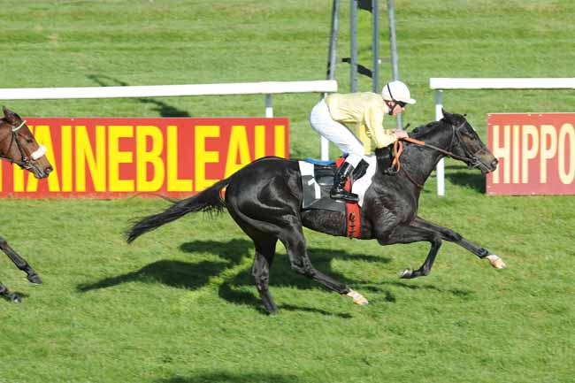 Arrivée quinté pmu PRIX DES SYCOMORES à FONTAINEBLEAU