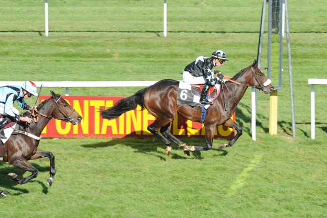 Arrivée quinté pmu PRIX JEAN GILLOIS à FONTAINEBLEAU