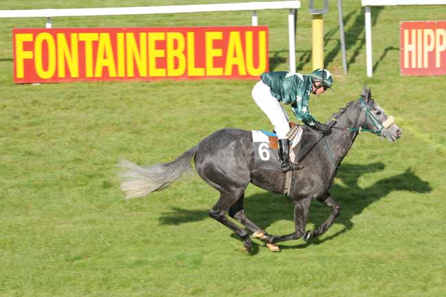 Arrivée quinté pmu PRIX DES SAULES à FONTAINEBLEAU