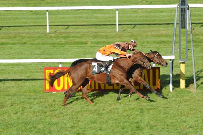 Arrivée quinté pmu PRIX DES ROSES à FONTAINEBLEAU