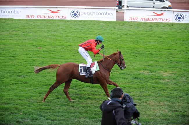 Arrivée quinté pmu PRIX BEACHCOMBER HOTELS LE PARADIS *****L (PRIX HERVE GINOUX) à MARSEILLE-BORELY