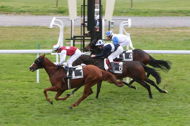 Arrivée quinté pmu PRIX D'HARDRICOURT à MAISONS-LAFFITTE