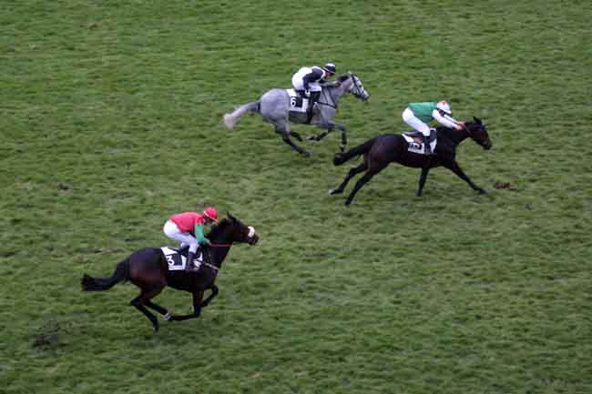 Arrivée quinté pmu PRIX FALZAREGO à AUTEUIL
