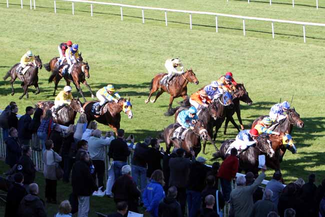 Arrivée quinté pmu PRIX DE LA BRIE à FONTAINEBLEAU