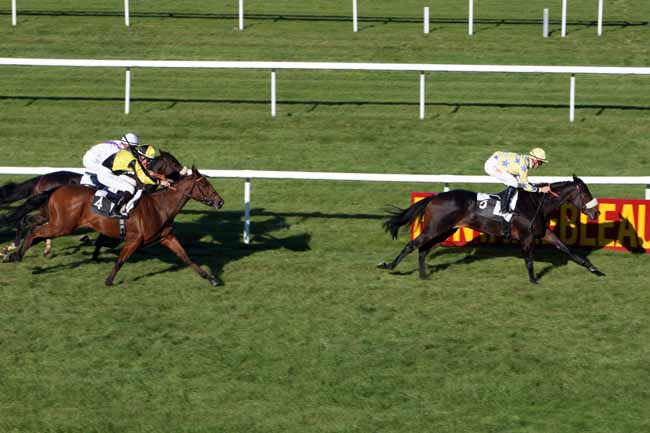 Arrivée quinté pmu PRIX DE LA PINEDE à FONTAINEBLEAU