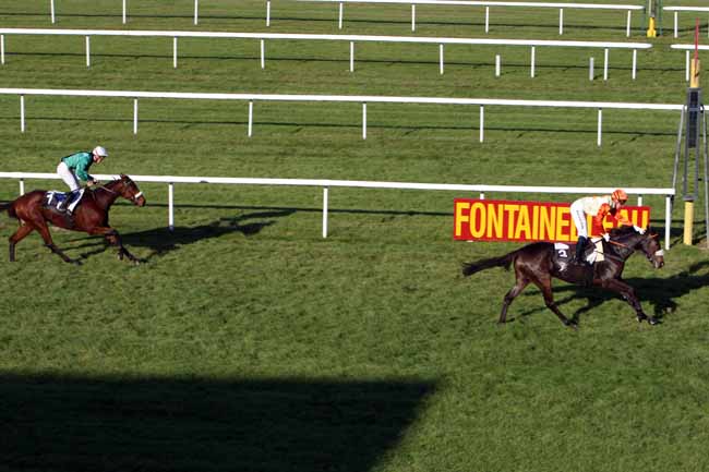 Arrivée quinté pmu PRIX GEORGES COURTOIS à FONTAINEBLEAU
