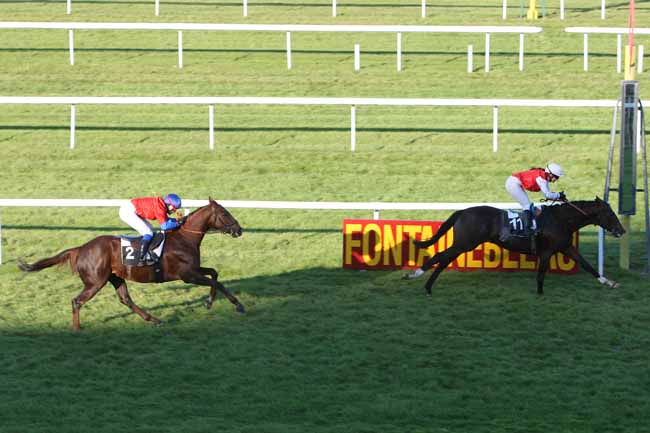 Arrivée quinté pmu PRIX DU ROCHER CASSEPOT à FONTAINEBLEAU
