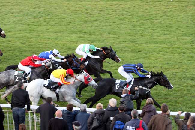 Arrivée quinté pmu PRIX DU GATINAIS à FONTAINEBLEAU