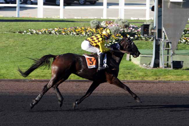 Arrivée quinté pmu PRIX DE BELLERIVE à PARIS-VINCENNES