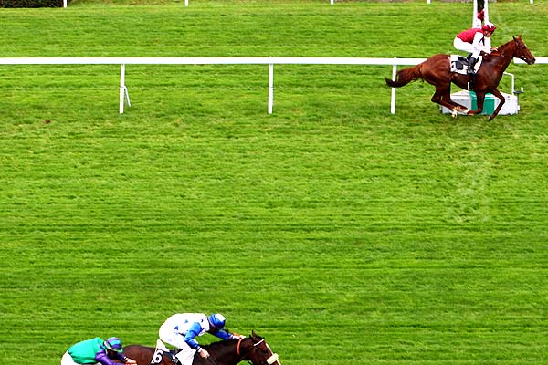 Arrivée quinté pmu PRIX MOTRICO à SAINT-CLOUD