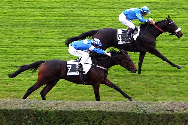 Arrivée quinté pmu PRIX DE FRENEUSE à SAINT-CLOUD
