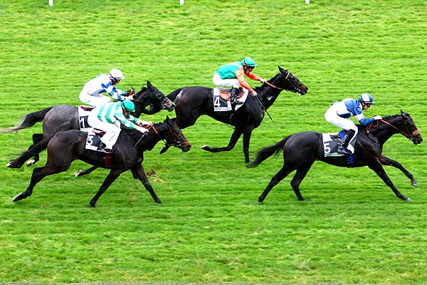 Arrivée quinté pmu PRIX DE BONNIERES SUR SEINE à SAINT-CLOUD