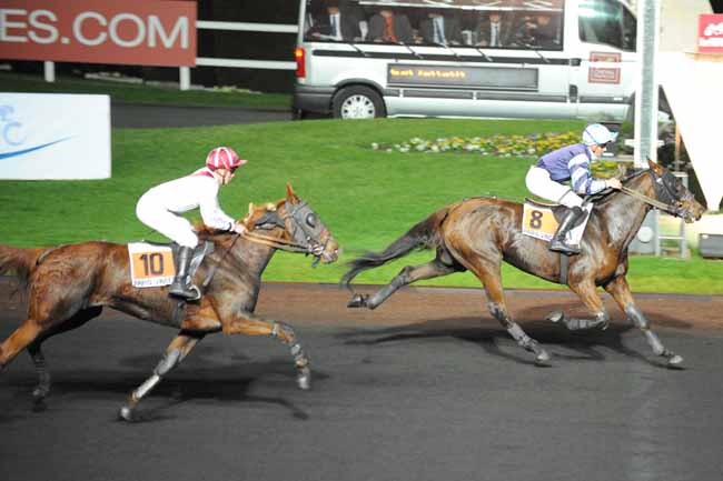 Arrivée quinté pmu PRIX DE DENAIN PORTE DU HAINAUT(PRIX MENSA) à PARIS-VINCENNES
