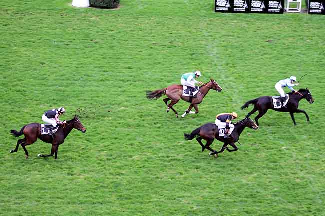 Arrivée quinté pmu PRIX BOURNOSIENNE (PRIX DIRECT MATIN) à AUTEUIL
