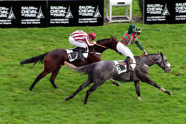 Arrivée quinté pmu PRIX CONGRESS à AUTEUIL