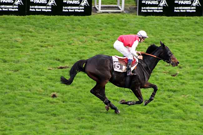 Arrivée quinté pmu PRIX CACAO (PRIX SALON DU CHEVAL DE PARIS 2011) à AUTEUIL