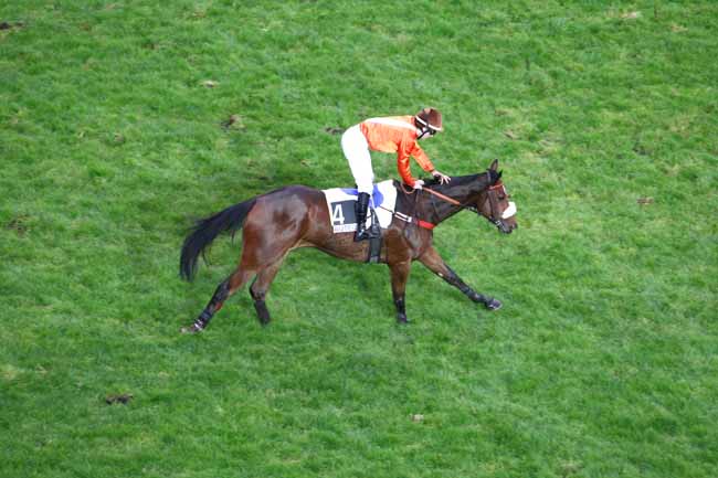 Arrivée quinté pmu PRIX DE PORNIC à AUTEUIL