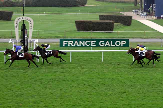 Arrivée quinté pmu PRIX PHARSALE à MAISONS-LAFFITTE