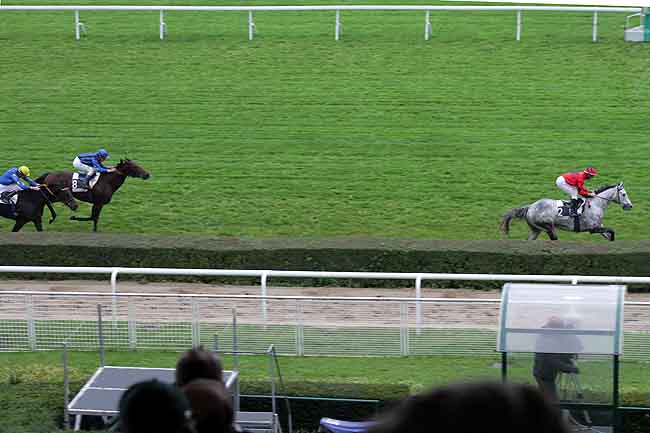 Arrivée quinté pmu PRIX CAPPIELLO à SAINT-CLOUD