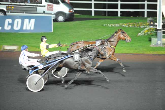 Arrivée quinté pmu PRIX MEDUSA à PARIS-VINCENNES