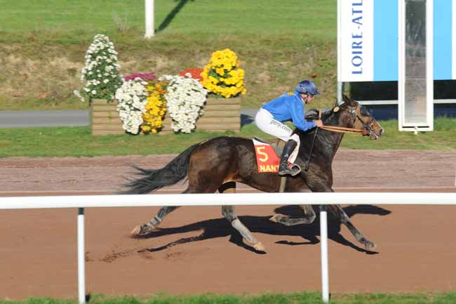 Arrivée quinté pmu PRIX GENERAL DU POMMEAU à NANTES