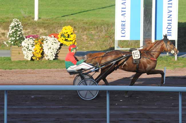 Arrivée quinté pmu GRAND PRIX SYNERGIE à NANTES