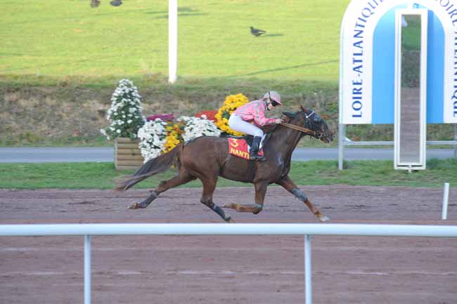 Arrivée quinté pmu PRIX DES HUITRES LEON LONGEPE - BOUIN à NANTES