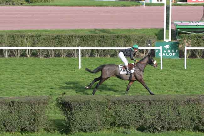 Arrivée quinté pmu PRIX DANIEL MERLE à ENGHIEN