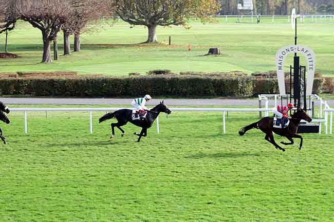 Arrivée quinté pmu PRIX TANERKO à MAISONS-LAFFITTE