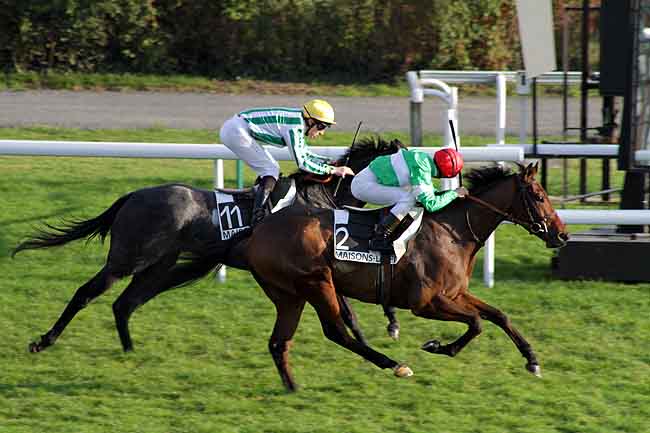 Arrivée quinté pmu PRIX TABOUN à MAISONS-LAFFITTE