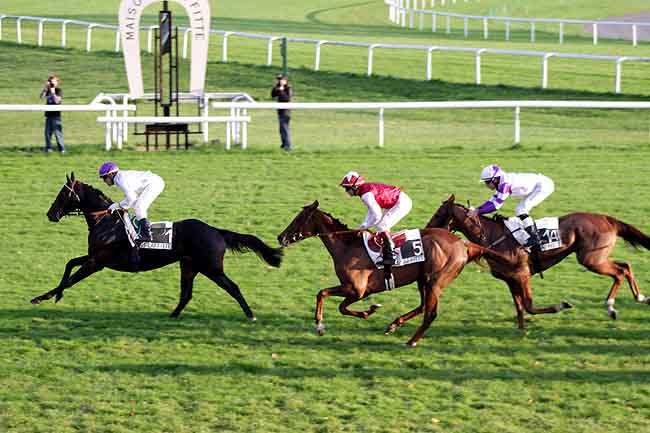 Arrivée quinté pmu PRIX FINASSEUR à MAISONS-LAFFITTE