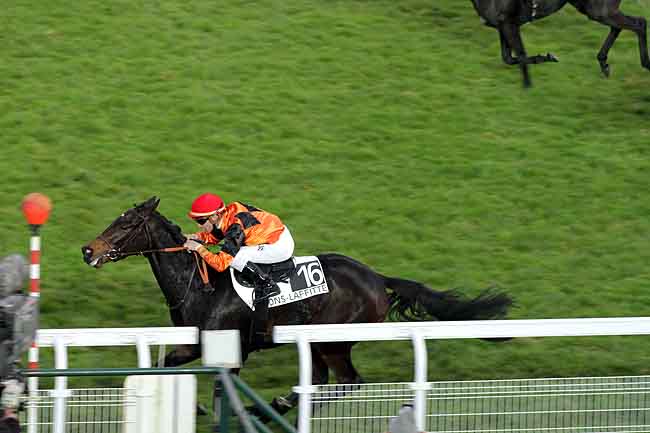 Arrivée quinté pmu PRIX DE LA MOSELLE à MAISONS-LAFFITTE
