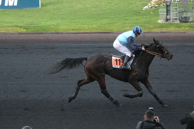 Arrivée quinté pmu PRIX D'AVESNES à PARIS-VINCENNES