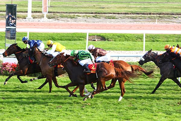 Arrivée quinté pmu PRIX FILLE DE L'AIR à TOULOUSE