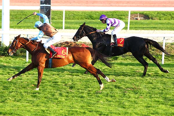 Arrivée quinté pmu PRIX MOVIDA (PRIX GEORGES SICARD) à TOULOUSE