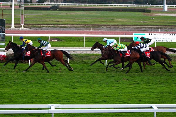 Arrivée quinté pmu PRIX TOULOUSE WEB (PRIX DU QUARTIER SAINT-CYPRIEN) à TOULOUSE