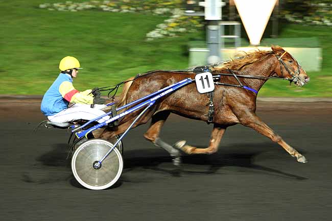 Arrivée quinté pmu PRIX PALATIA à PARIS-VINCENNES