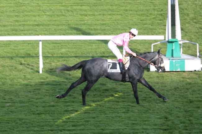 Arrivée quinté pmu PRIX DENISY à SAINT-CLOUD