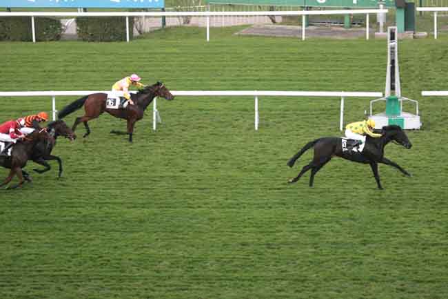 Arrivée quinté pmu PRIX PAUL- NOEL DELAHOUTRE à SAINT-CLOUD