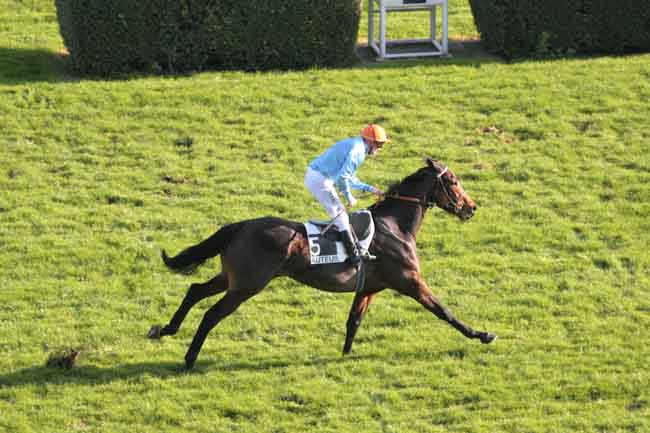 Arrivée quinté pmu PRIX SYTAJ à AUTEUIL