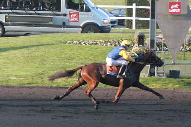 Arrivée quinté pmu PRIX LOUIS TILLAYE à PARIS-VINCENNES