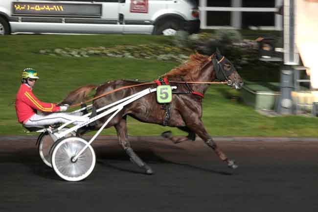 Arrivée quinté pmu PRIX DES GIROFLEES (GR B) à PARIS-VINCENNES