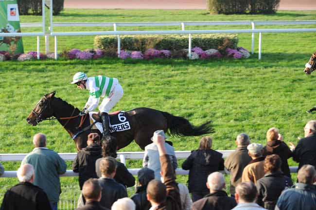 Arrivée quinté pmu PRIX WLADIMIR HALL à ANGERS