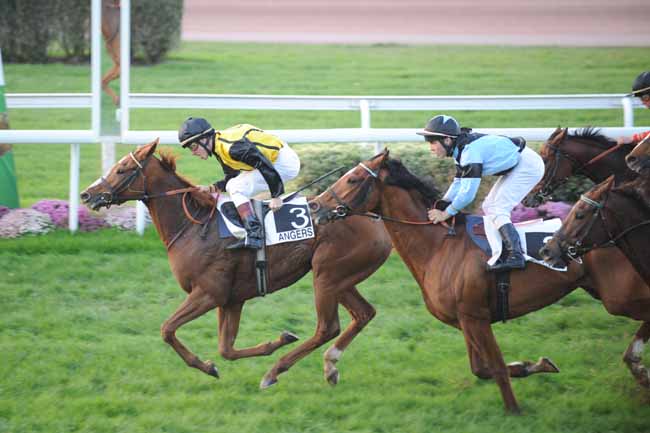 Arrivée quinté pmu HANDICAP DE LA MAINE à ANGERS