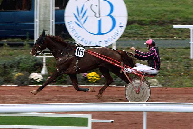 Arrivée quinté pmu PRIX DE TOULOUSE à BORDEAUX-LE BOUSCAT