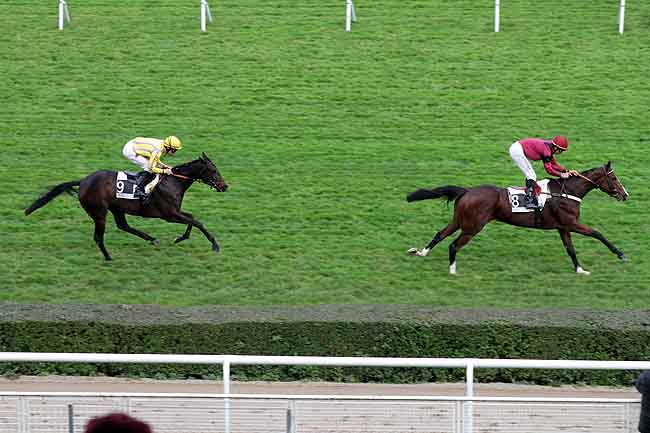Arrivée quinté pmu PRIX JACQUES DE VIENNE à SAINT-CLOUD