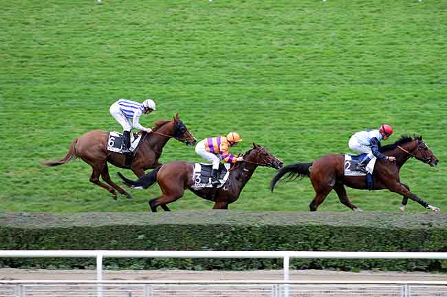 Arrivée quinté pmu PRIX KALDOUN à SAINT-CLOUD