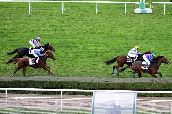 Arrivée quinté pmu PRIX DE CLAIREFONTAINE EN YVELINES à SAINT-CLOUD